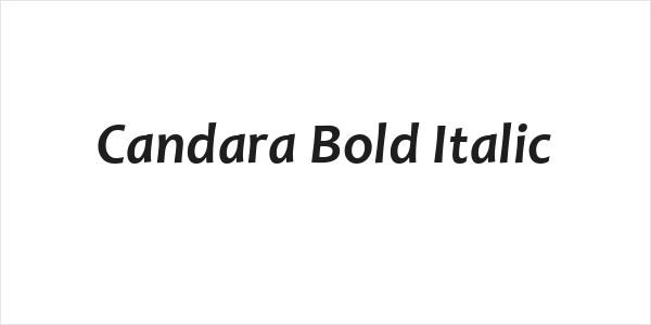 Candara Bold Italic Logo