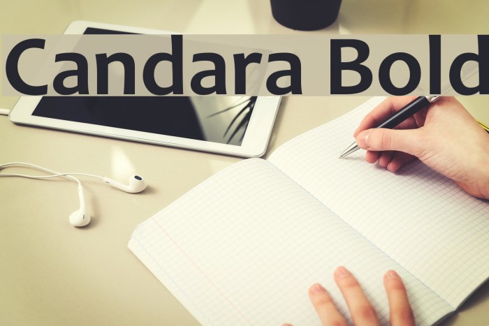 Candara Bold Example 1