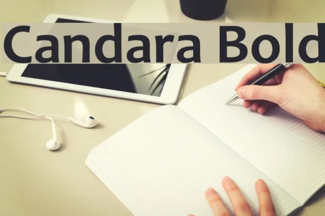 Candara Bold Example 1