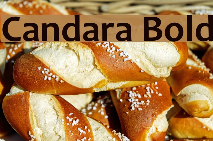 Candara Bold Example 2