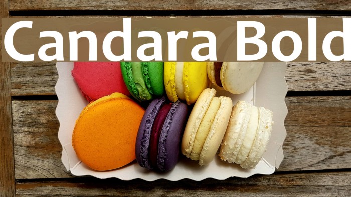 Candara Bold Example 3