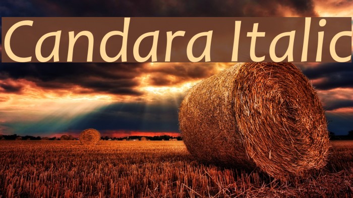 Candara Italic Example 1