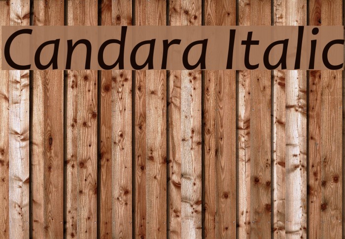 Candara Italic Example 2