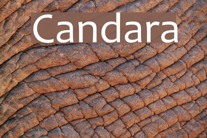 Candara Example 1