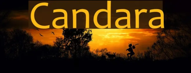 Candara Example 2