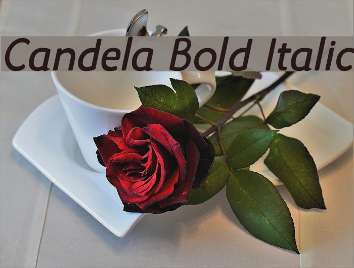 Candela Bold Italic Font examples