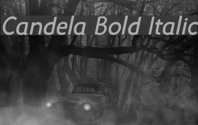 Candela Bold Italic Font examples