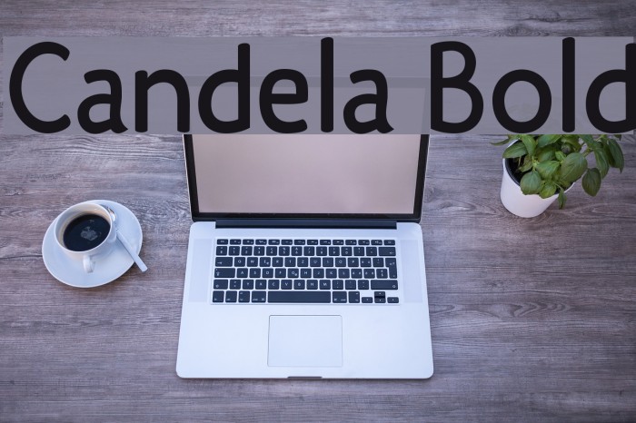 Candela Bold Font examples
