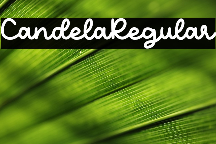 CandelaRegular Example 2