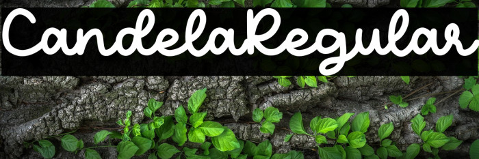 CandelaRegular Example 3