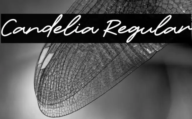 Candelia Regular フォント examples