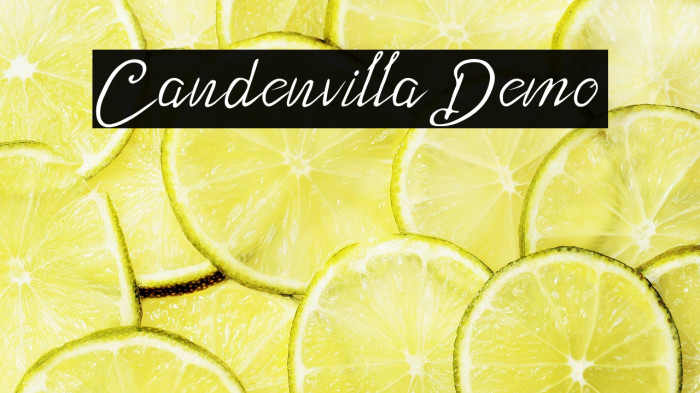 Candenvilla_Demo Example 2