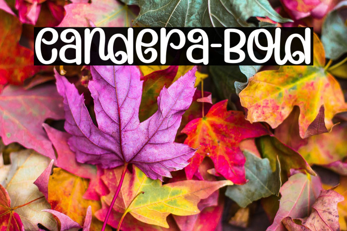Candera-Bold Example 1