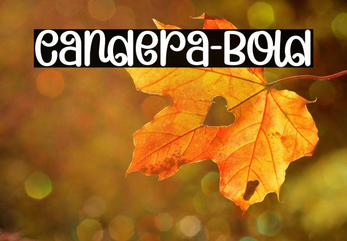 Candera-Bold Example 2