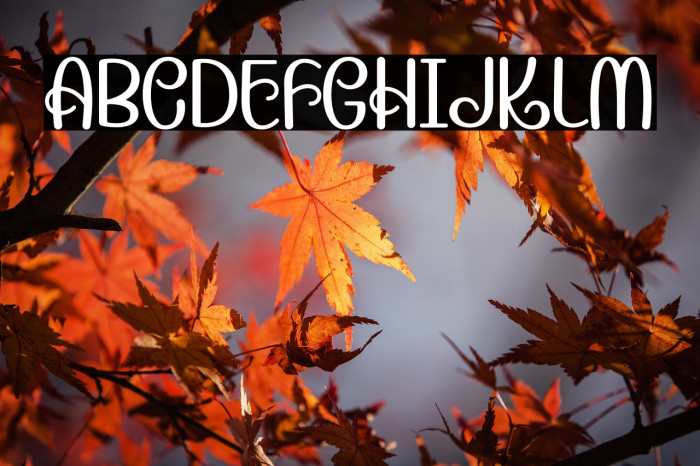 Candera-Regular Example 2