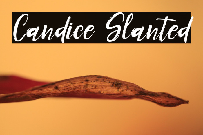 Candice Slanted Example 1