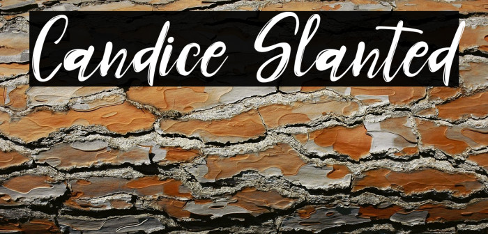 Candice Slanted Example 2