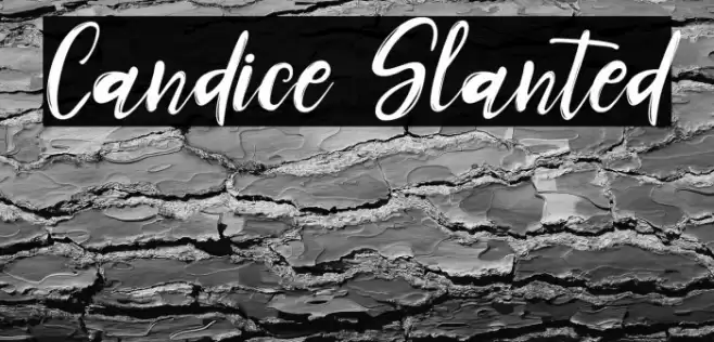 Candice Slanted Font examples