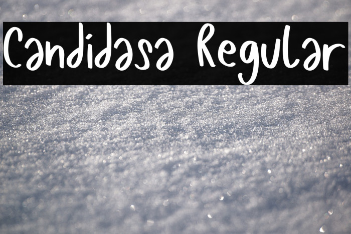 Candidasa Regular Example 2