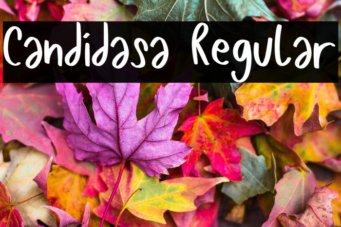 Candidasa Regular Example 3