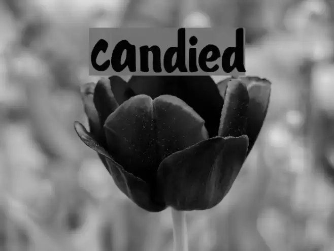 Candied Font examples