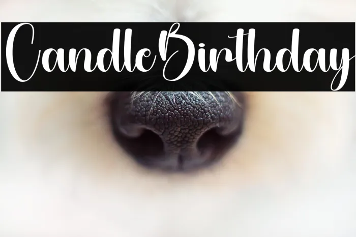 Candle Birthday Example 2