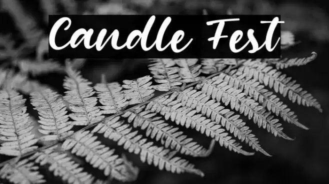 Candle Fest Font examples