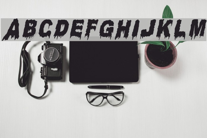 Candle Light Italic Font examples