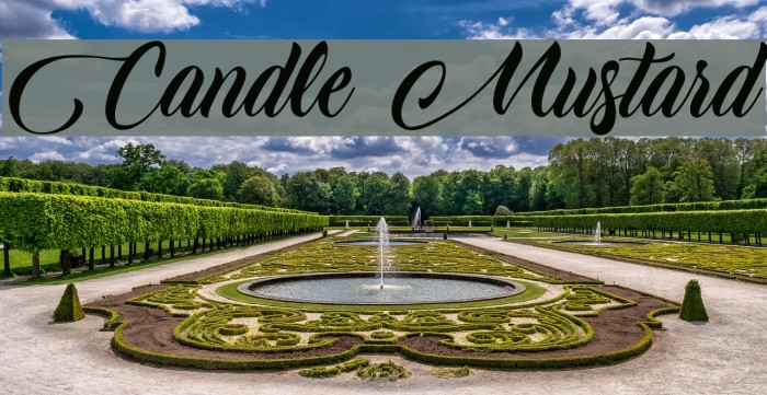 Candle Mustard Example 2