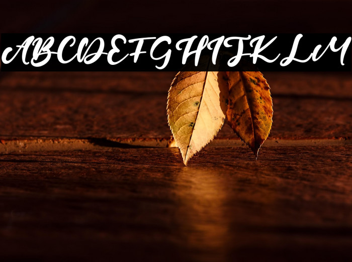 CandleFest Example 1