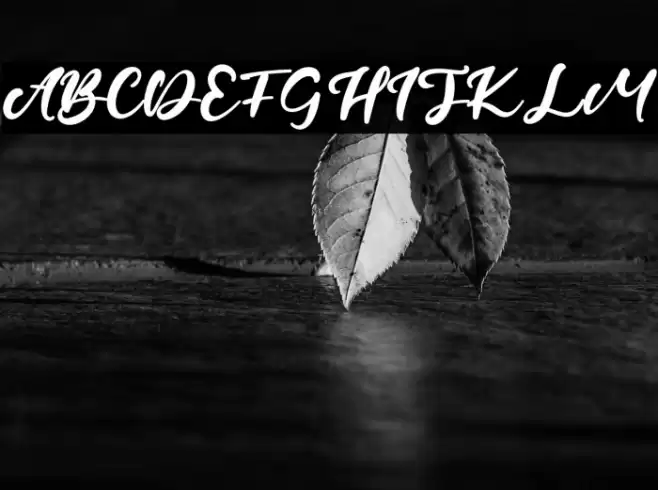 CandleFest Font examples