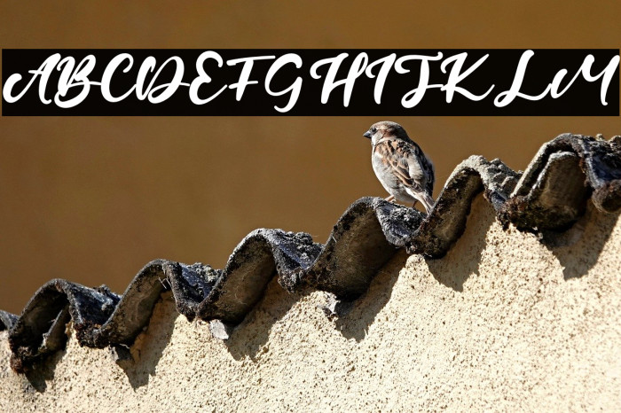 CandleFest Example 3