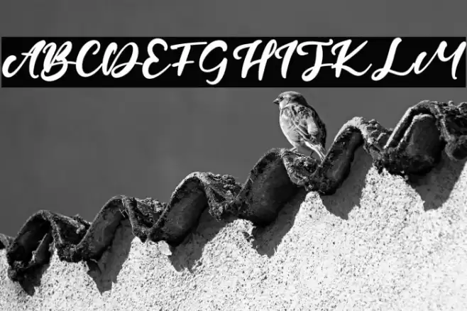 CandleFest Font examples