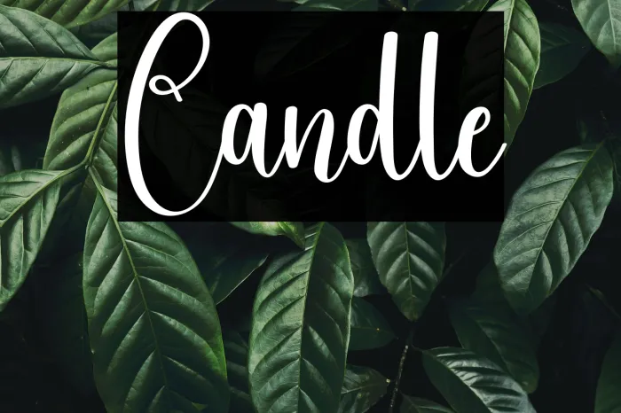 Candle Example 3