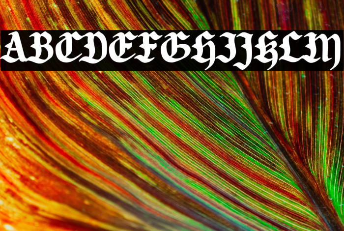 Candlebright Example 2