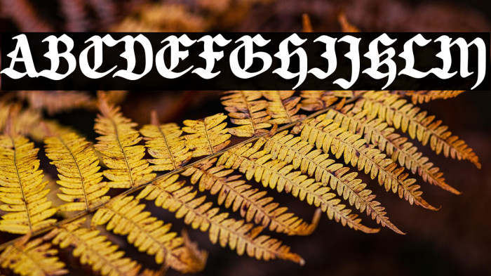 Candlebright Example 3