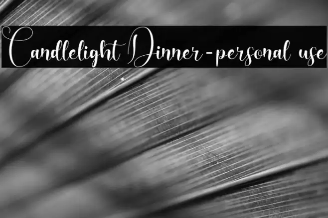 Candlelight Dinner-personal use Шрифта examples
