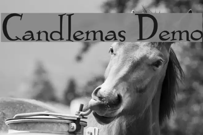 Candlemas Demo フォント examples
