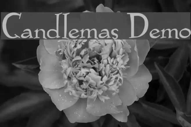 Candlemas Demo フォント examples