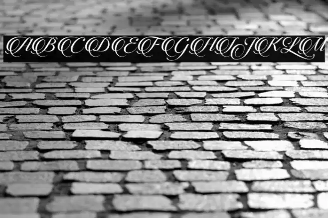 CandlescriptDemoVersion Font examples