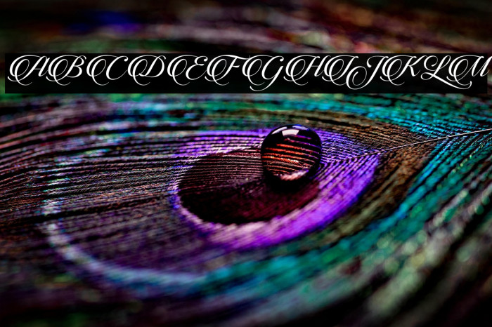 CandlescriptDemoVersion Example 3