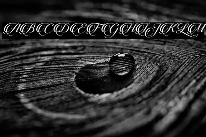 CandlescriptDemoVersion Font examples