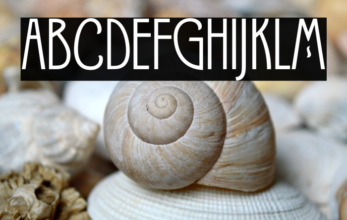 Candleton DEMO Example 1