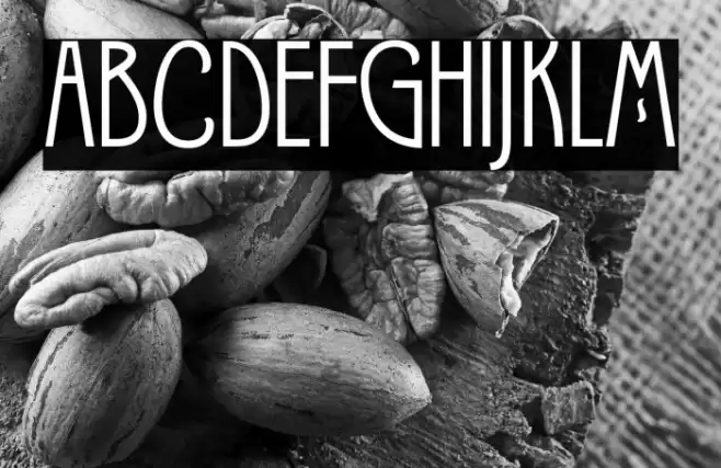 Candleton DEMO Font examples