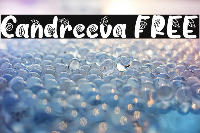 Candreeva FREE Example 3