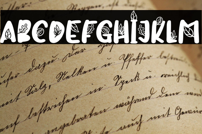 CandreevaFREE Example 1