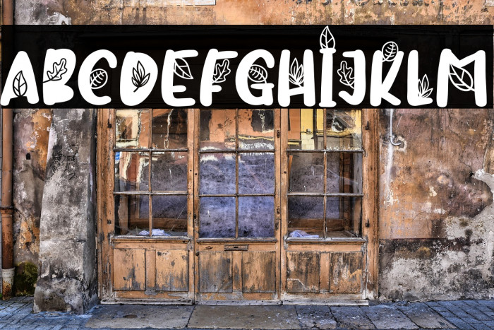 CandreevaFREE Example 3