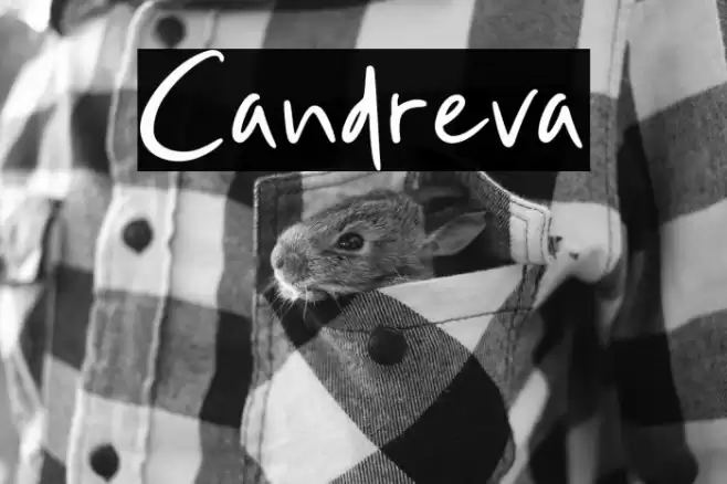 Candreva Font examples