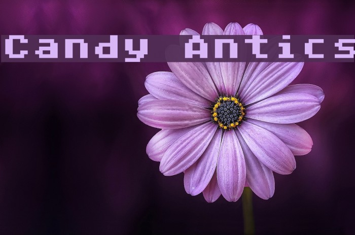Candy Antics Font examples