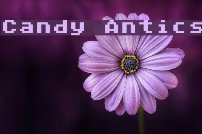 Candy Antics Example 3
